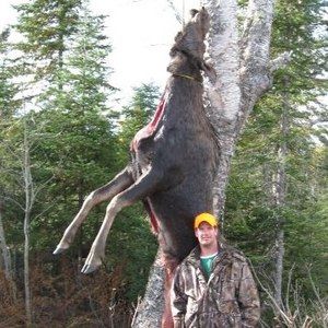 Meet your Posher, Greg